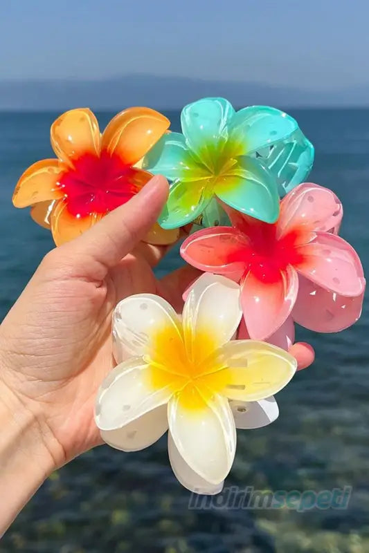 4'lü Rengarenk Lotus Çiçeği Mandal Toka